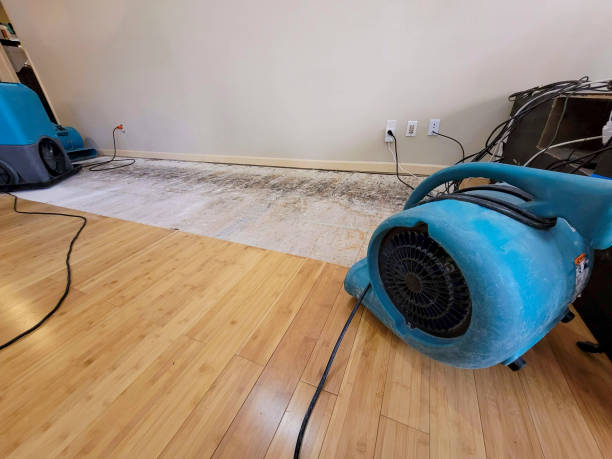 Professional Water Extraction technician working in Clarksville, MI